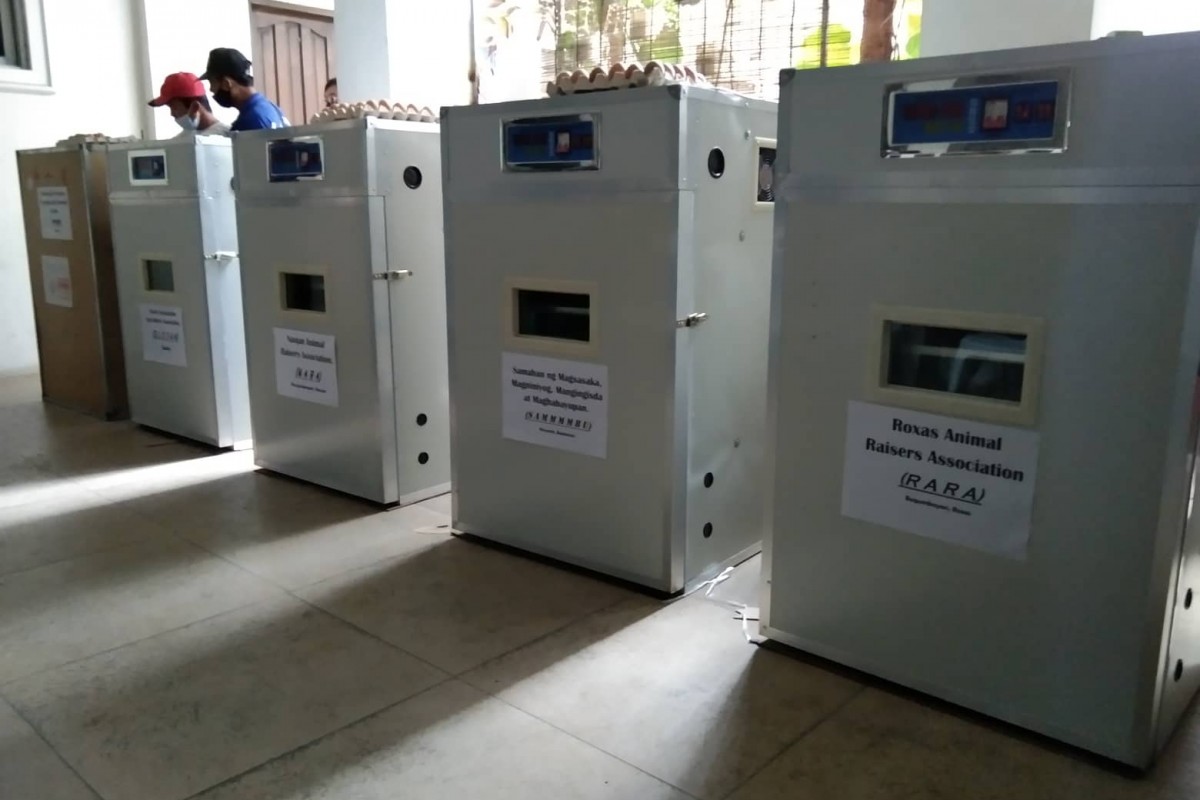 PIA - 5 Incubators Ipinagkaloob Ng DA-RFO Sa Mga Livestock Raisers ...