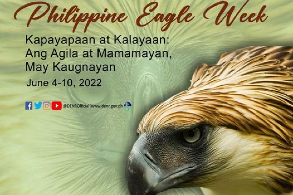 PIA PH celebrates Eagle Week