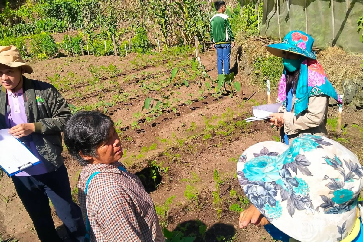 PIA - DA grooms Kayapa farmers for organic farming standards