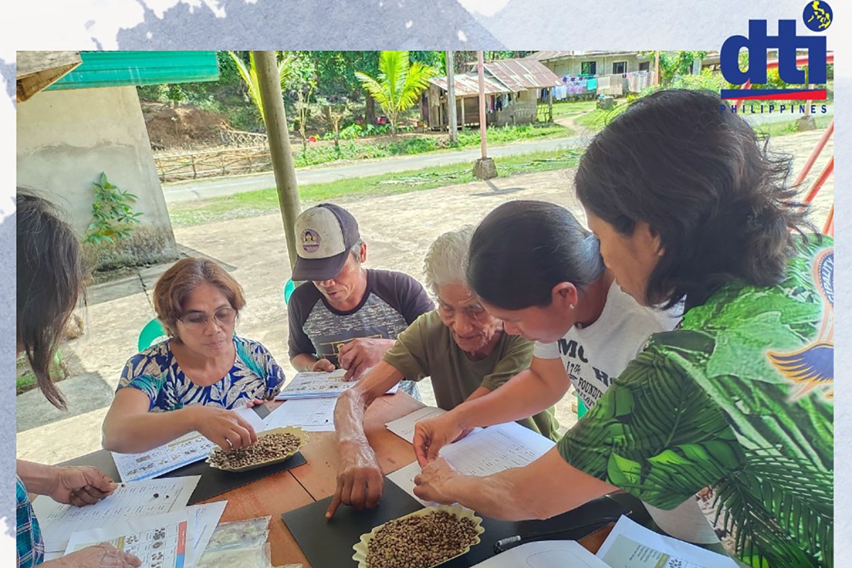 PIA - Apayao coffee farmers trained on coffee grading