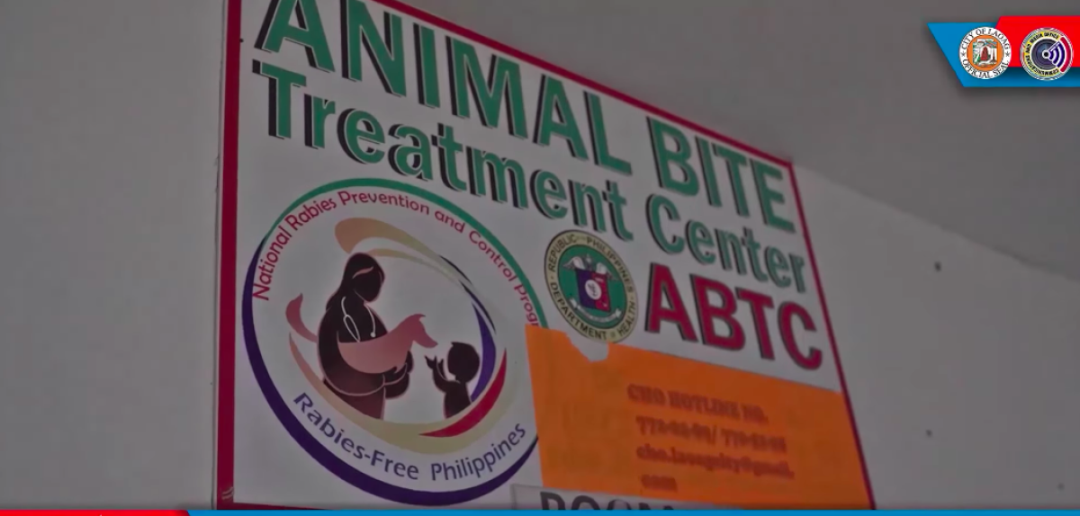 PIA Laoag City Records 1 5k Animal Bite 1 Rabies Death Case In 2023   57310c22187bda32502243dd6de97b1e 800 1200 